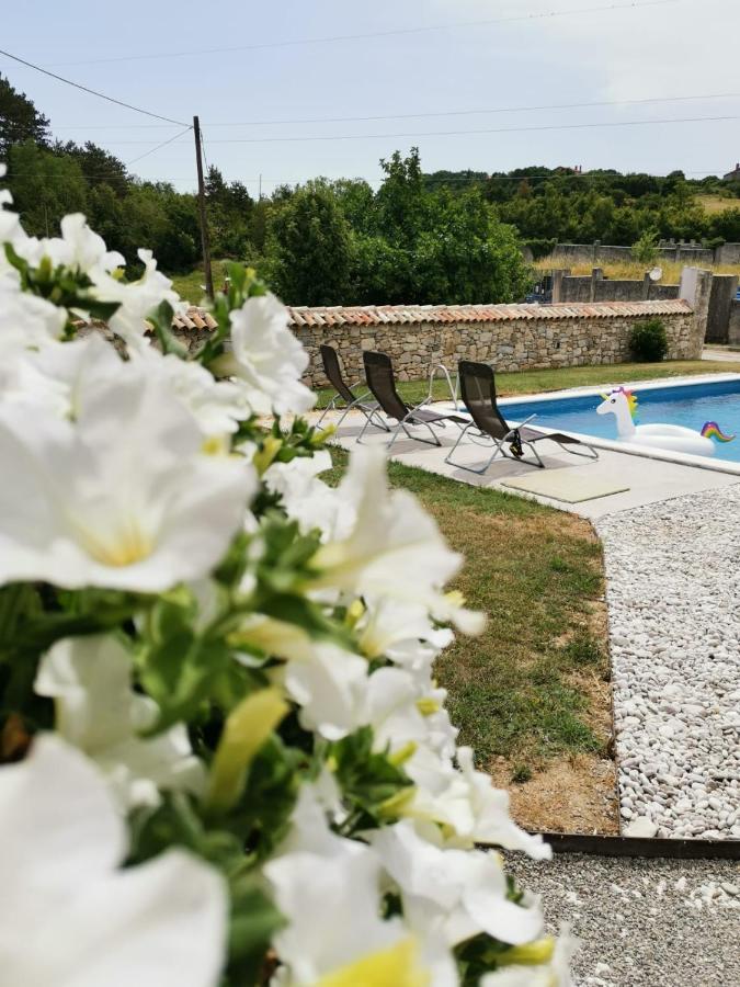 Villa Accordia Labin  Extérieur photo
