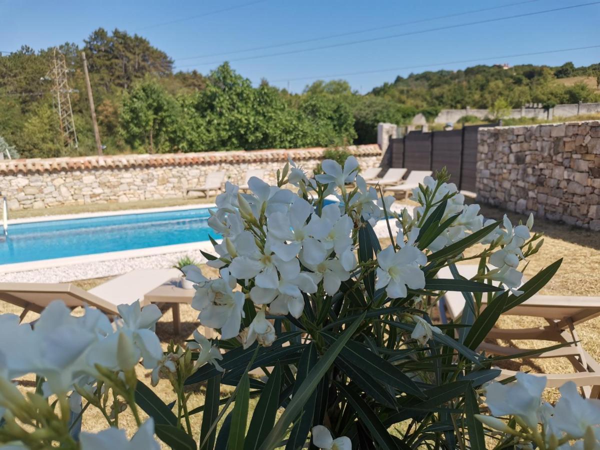 Villa Accordia Labin  Extérieur photo